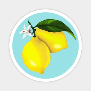 Cute Yellow Lemon Graphic Magnet